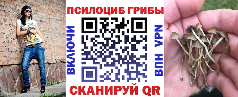 Галлюциногенные грибы Psilocybine cubensis  Староминская 